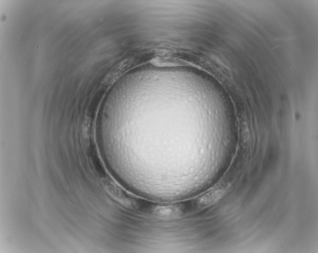 X0000057090275200510071919