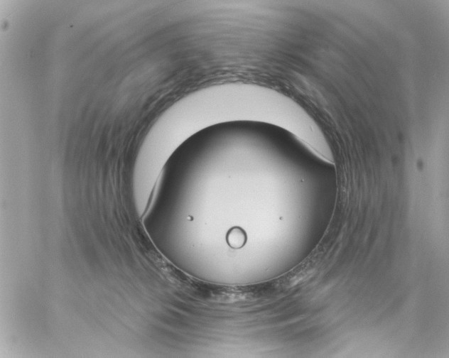 X0000057090276200510071919