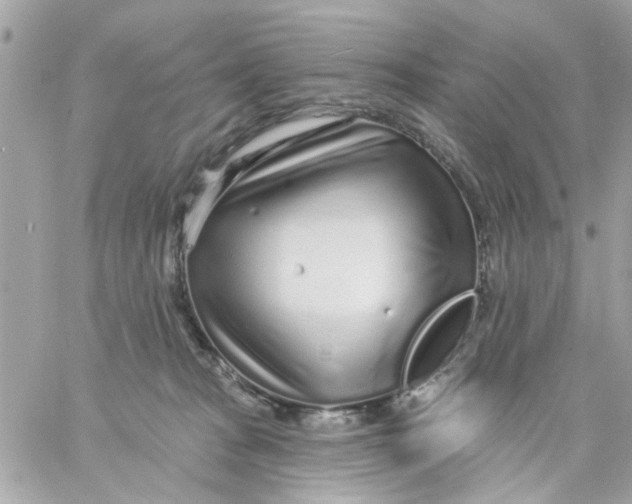 X0000057090277200510071919