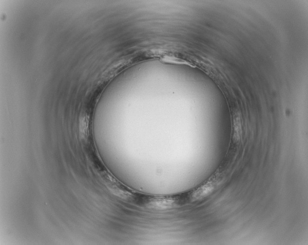 X0000057090278200510071919