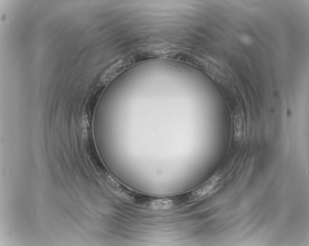 X0000057090279200510071919