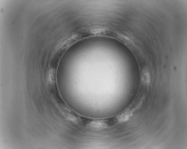 X0000057090280200510071919