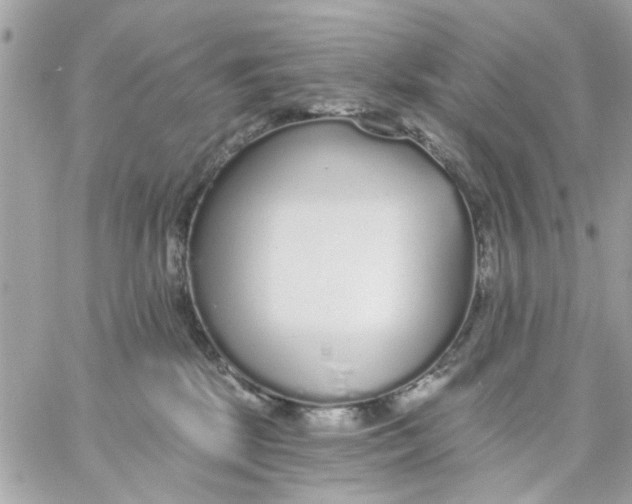 X0000057090281200510071919