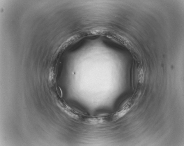 X0000057090284200510071919