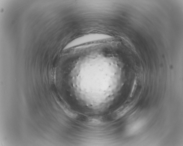 X0000057090285200510071919