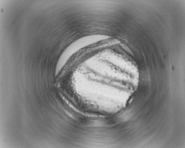 X0000057090286200510071919