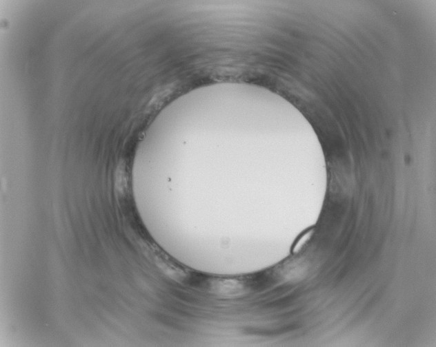 X0000057090287200510071919