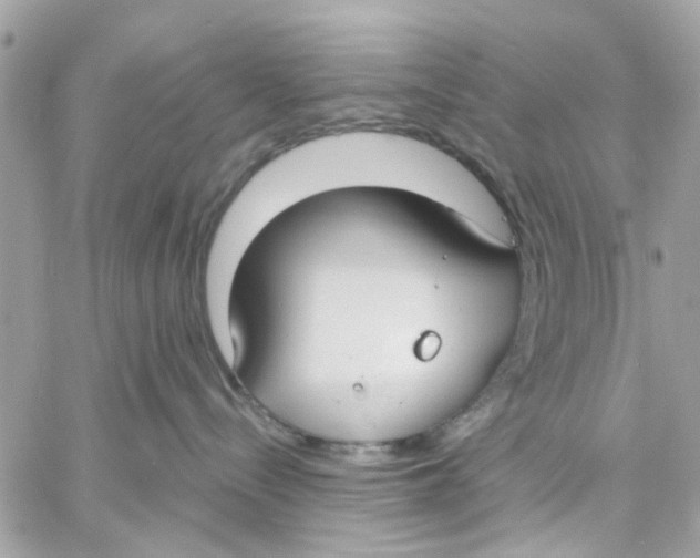 X0000057090288200510071919