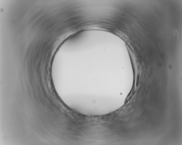 X0000057090289200510071918