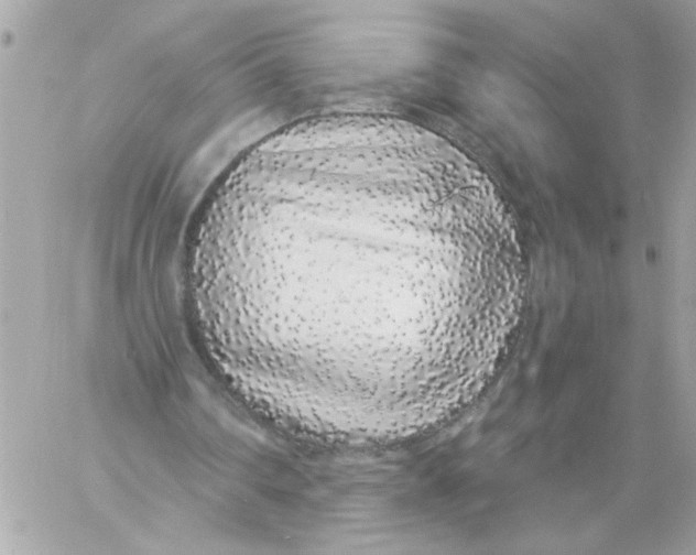 X0000057090290200510071918