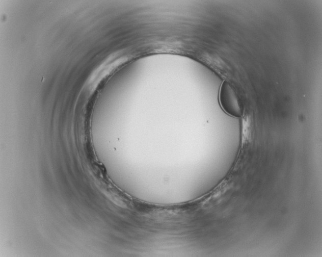 X0000057090291200510071918