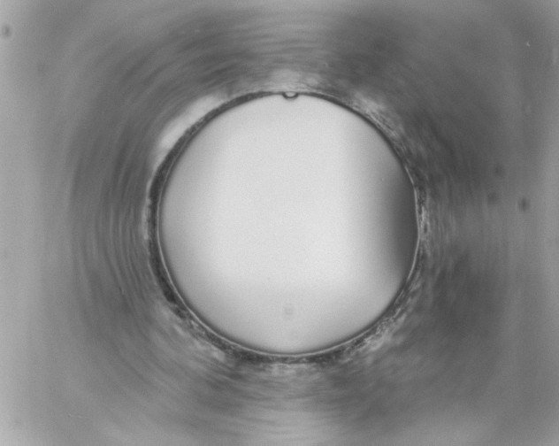 X0000057090292200510071918