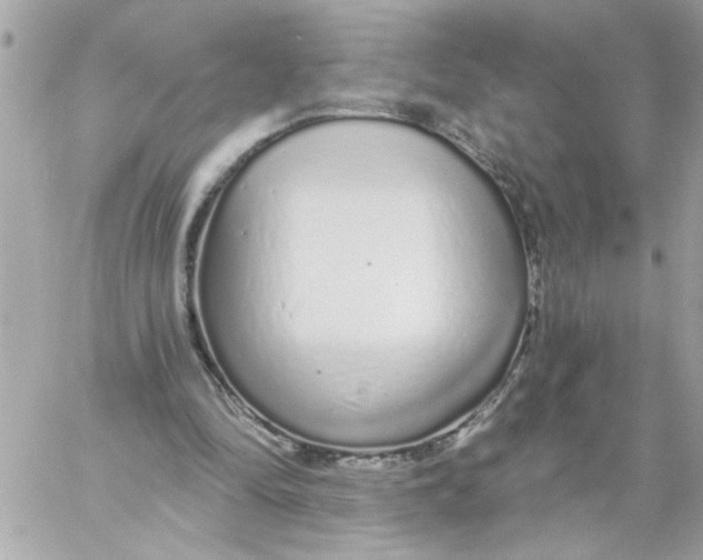 X0000057090294200510071918