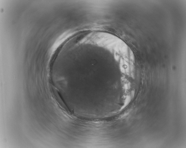 X0000057090295200510071918