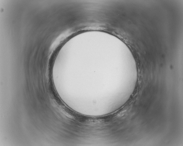 X0000057090296200510071918