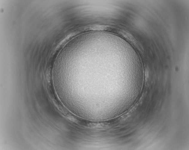 X0000057090297200510071918