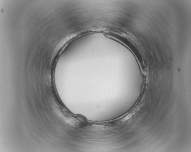 X0000057090298200510071918