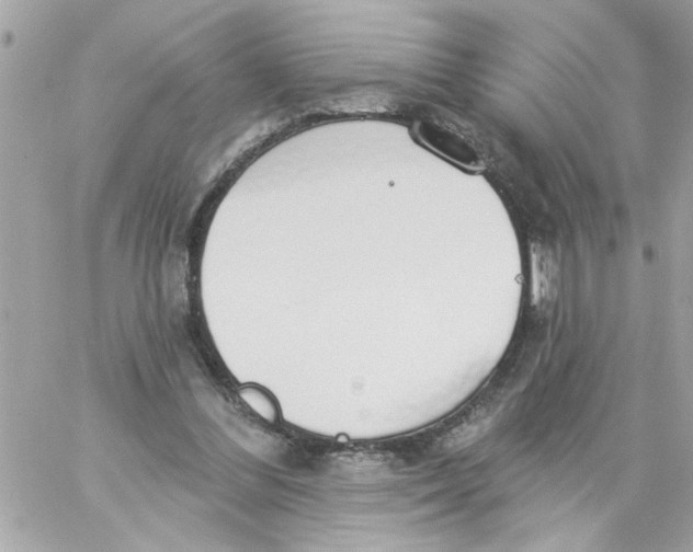 X0000057090300200510071918