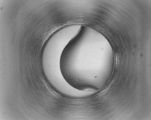 X0000057090301200510071918