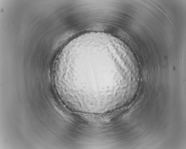 X0000057090302200510071918