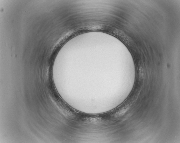 X0000057090304200510071918