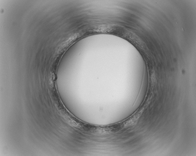 X0000057090305200510071918