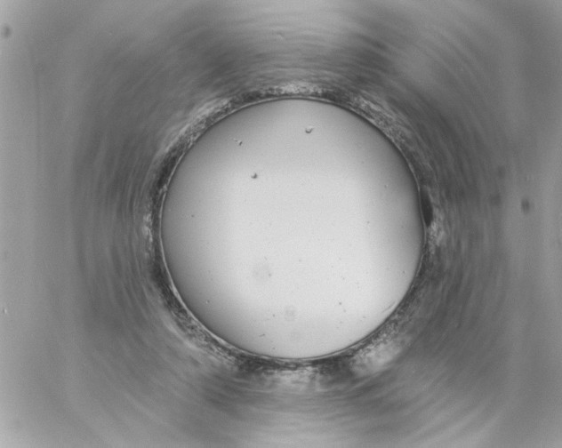 X0000057090306200510071918