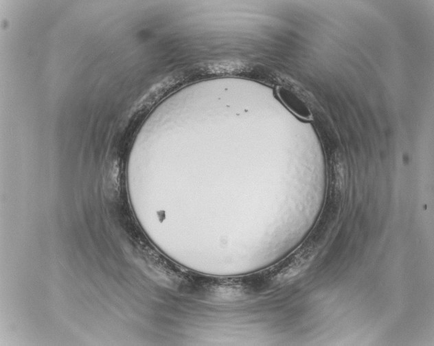 X0000057090308200510071918