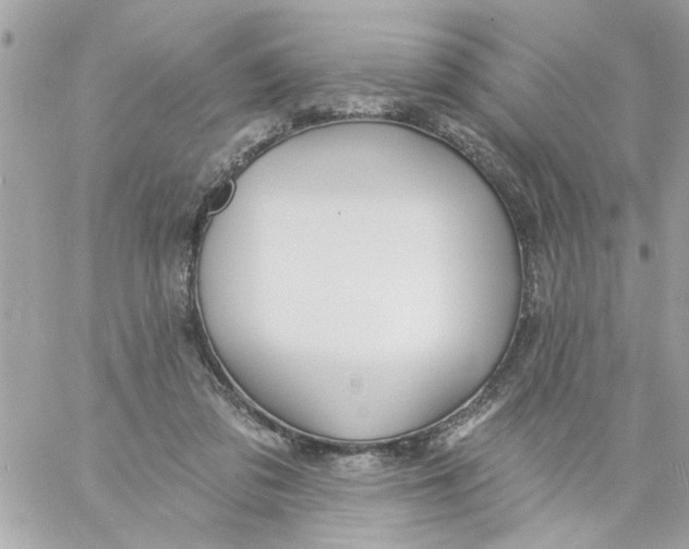 X0000057090309200510071918