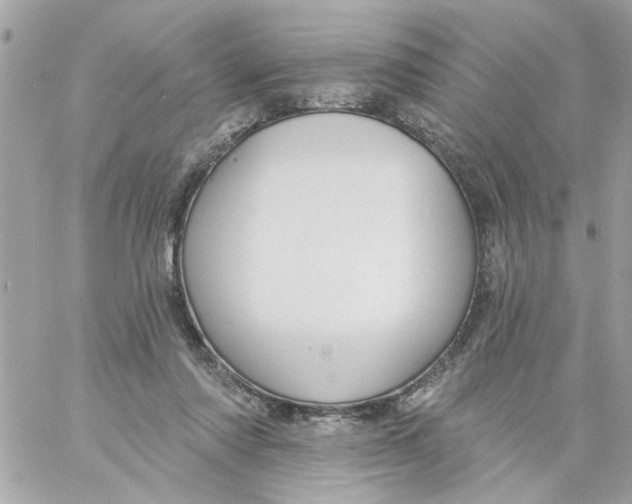 X0000057090310200510071918