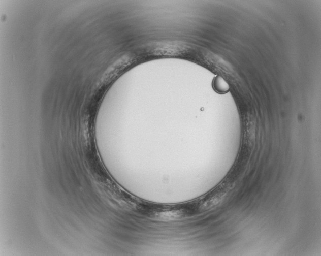 X0000057090312200510071918