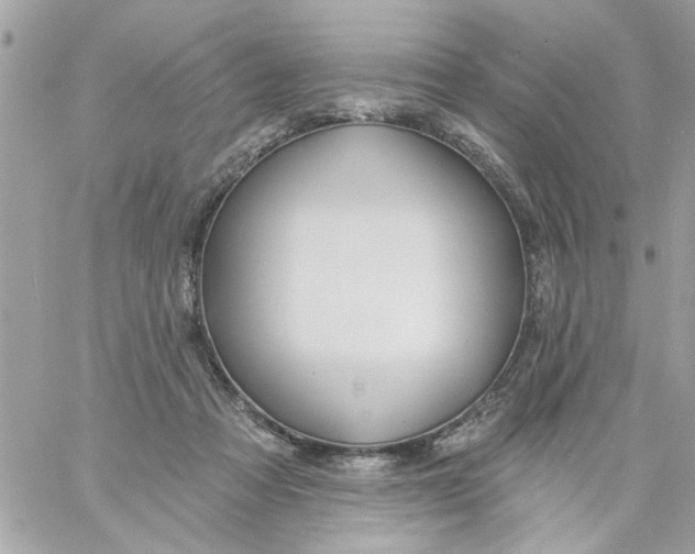 X0000057090313200510071918