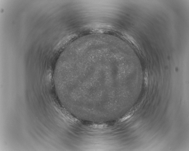 X0000057090314200510071918