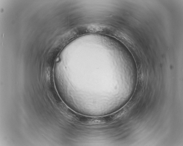 X0000057090315200510071918