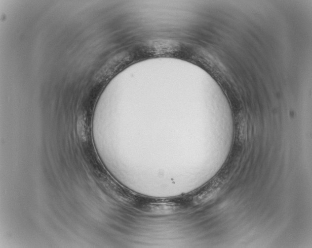 X0000057090316200510071918