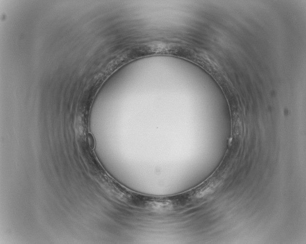 X0000057090317200510071918