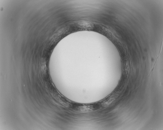 X0000057090320200510071918