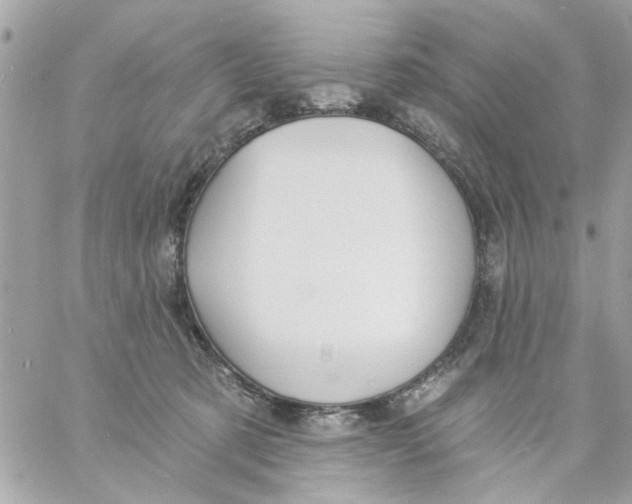 X0000057090321200510071918