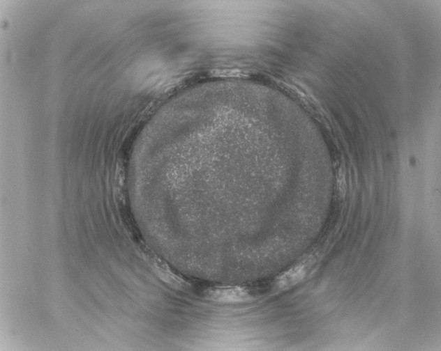 X0000057090322200510071918