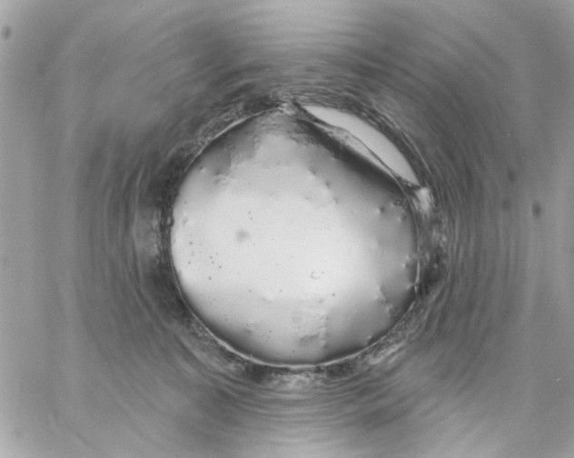 X0000057090323200510071918