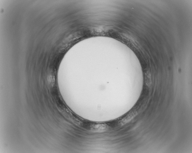 X0000057090324200510071918