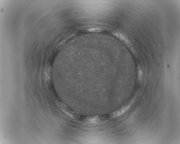 X0000057090325200510071918