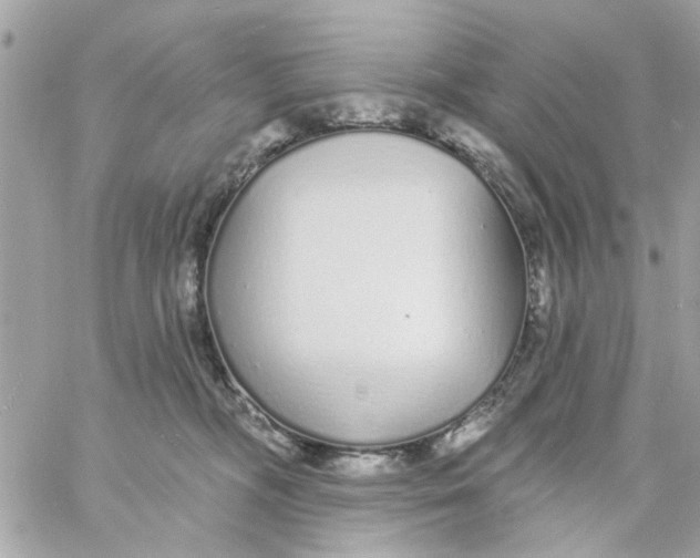 X0000057090326200510071918