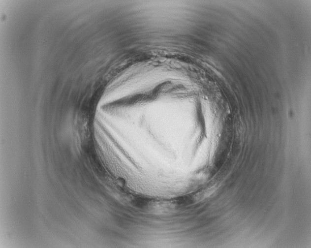 X0000057090327200510071918