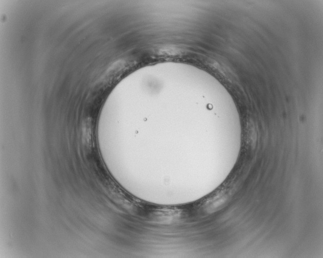 X0000057090328200510071918