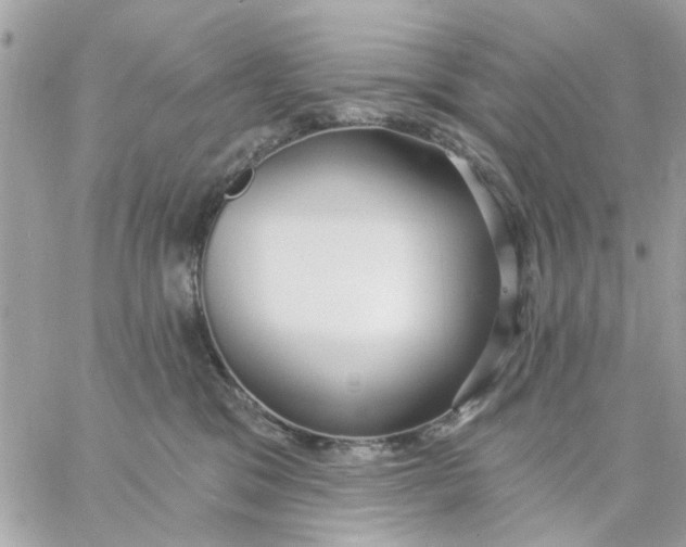 X0000057090329200510071918