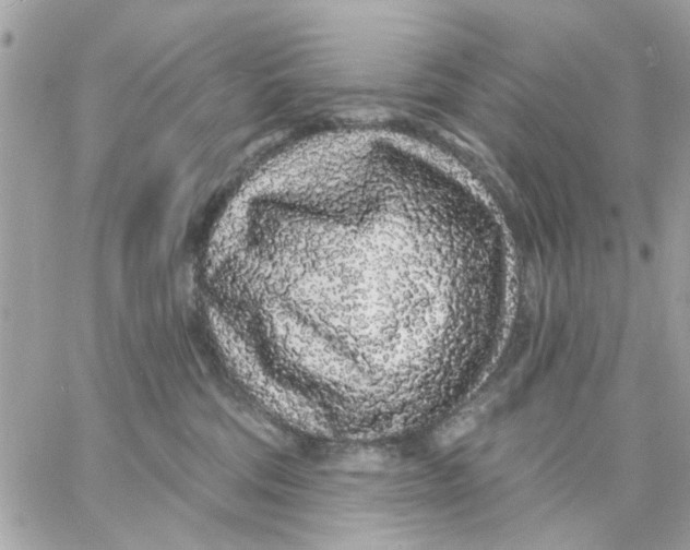 X0000057090330200510071917