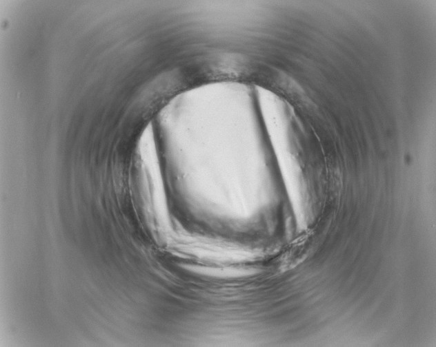 X0000057090331200510071917