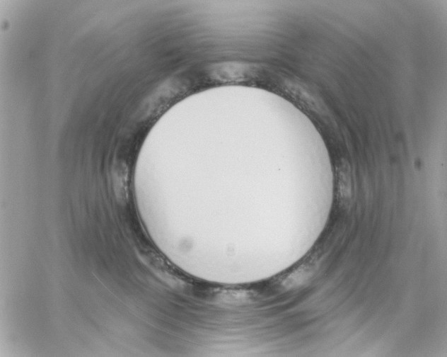 X0000057090332200510071917