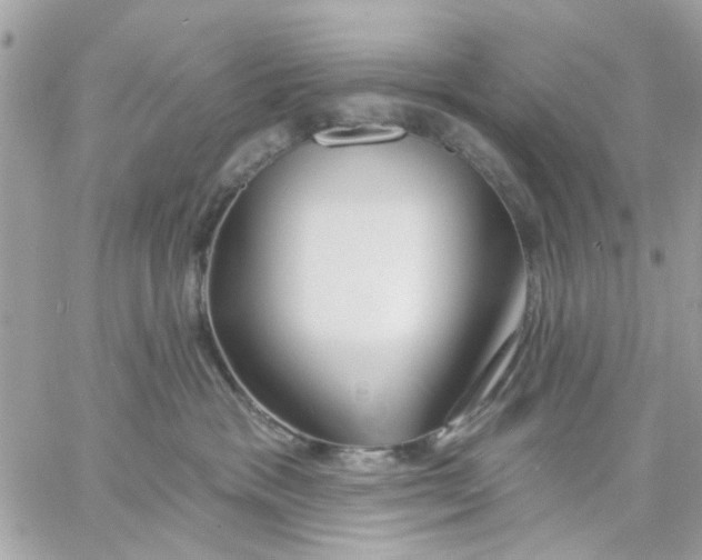 X0000057090333200510071917